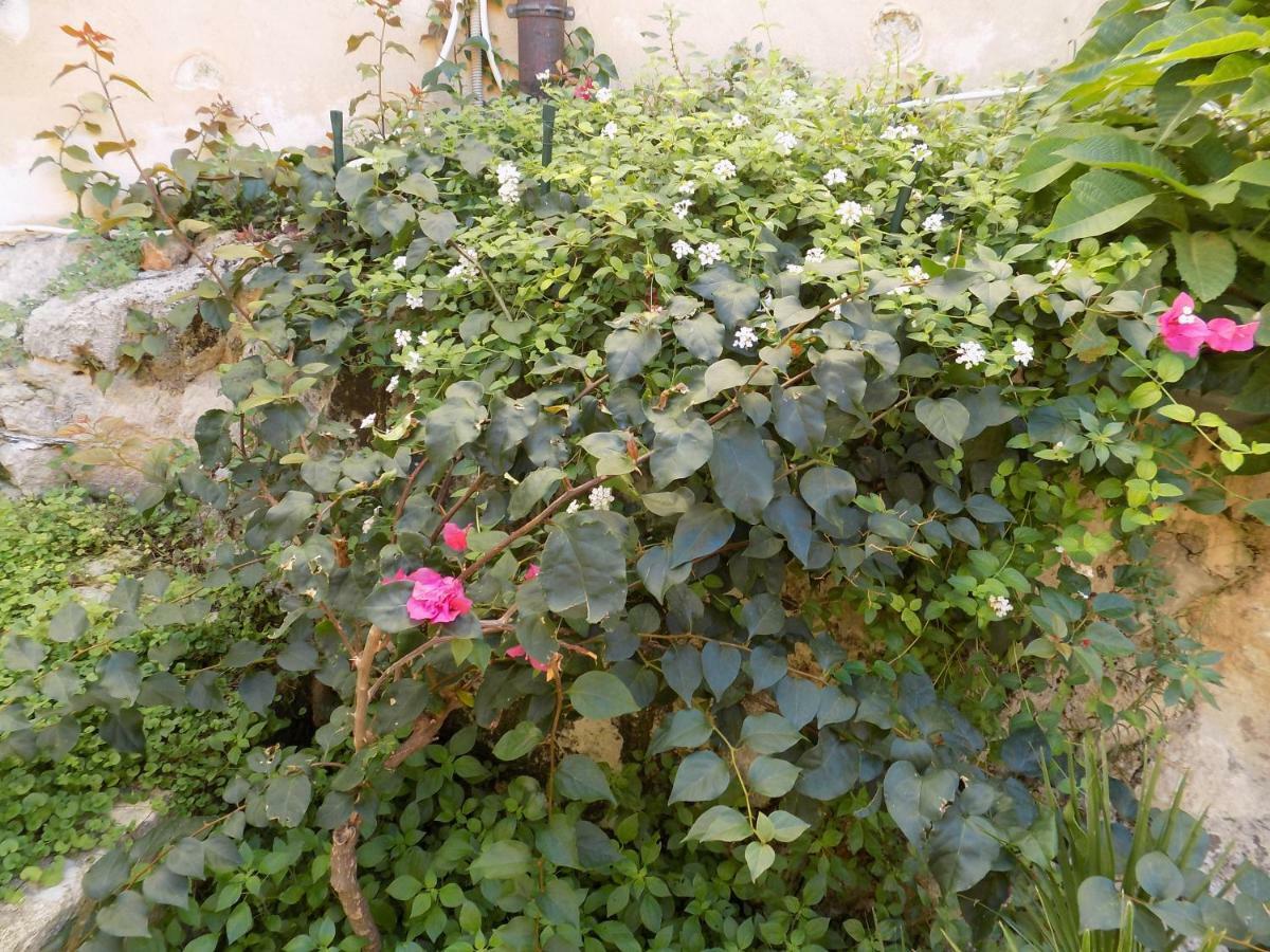 Garden&House Amore Vero Modica Luaran gambar
